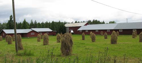 Landwirtschaftsmuseum